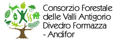 Consorzio Forestale delle Valli Antigorio Divedro Formazza - Andifor