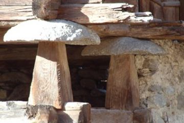 Casa Walser - Particolare